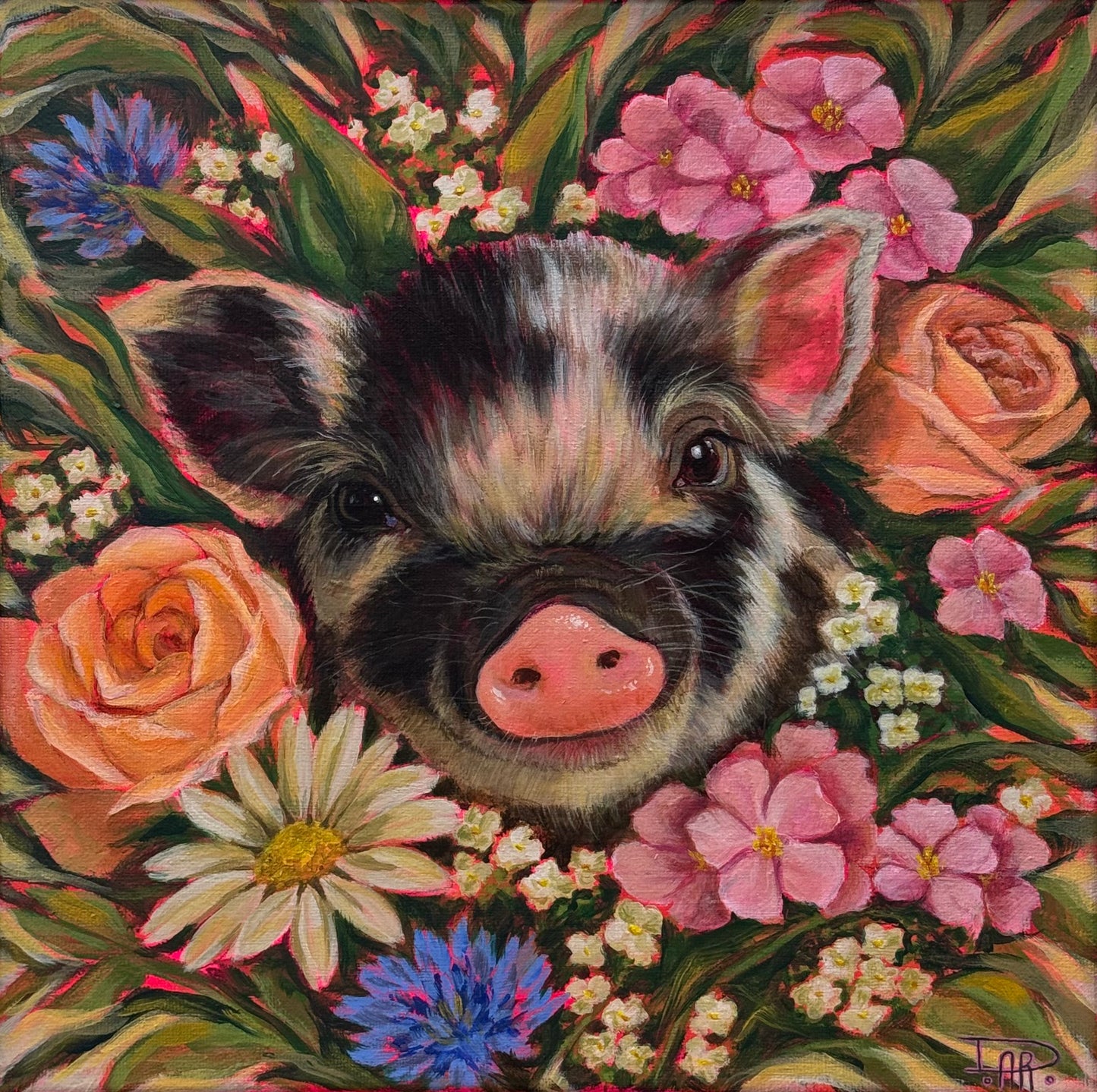 Breezy Bay's Bacon Jr.