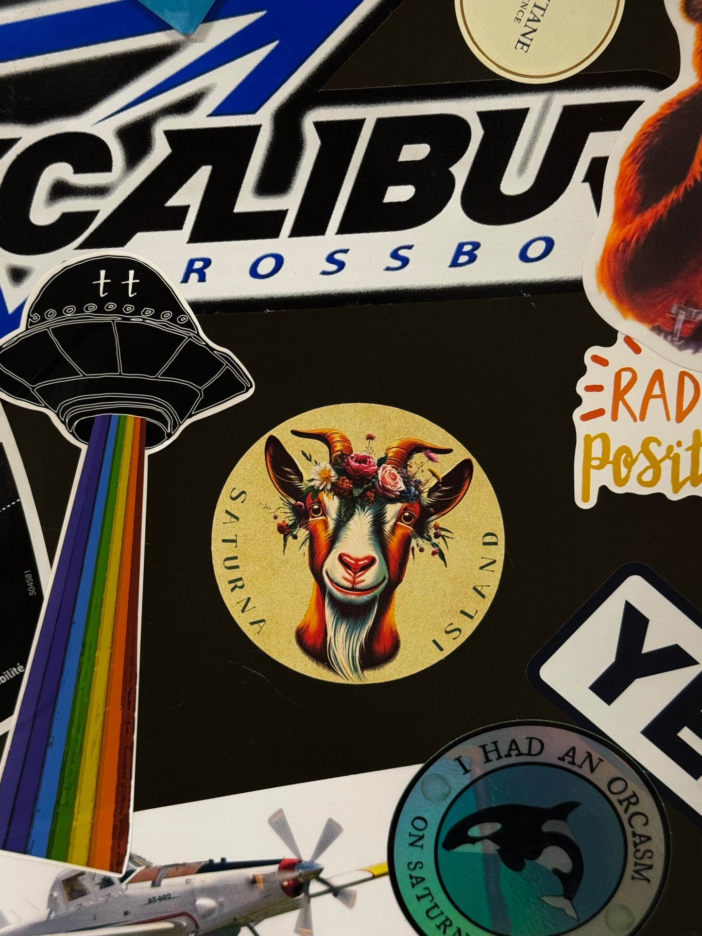 Sticker - Rutherford In Bloom