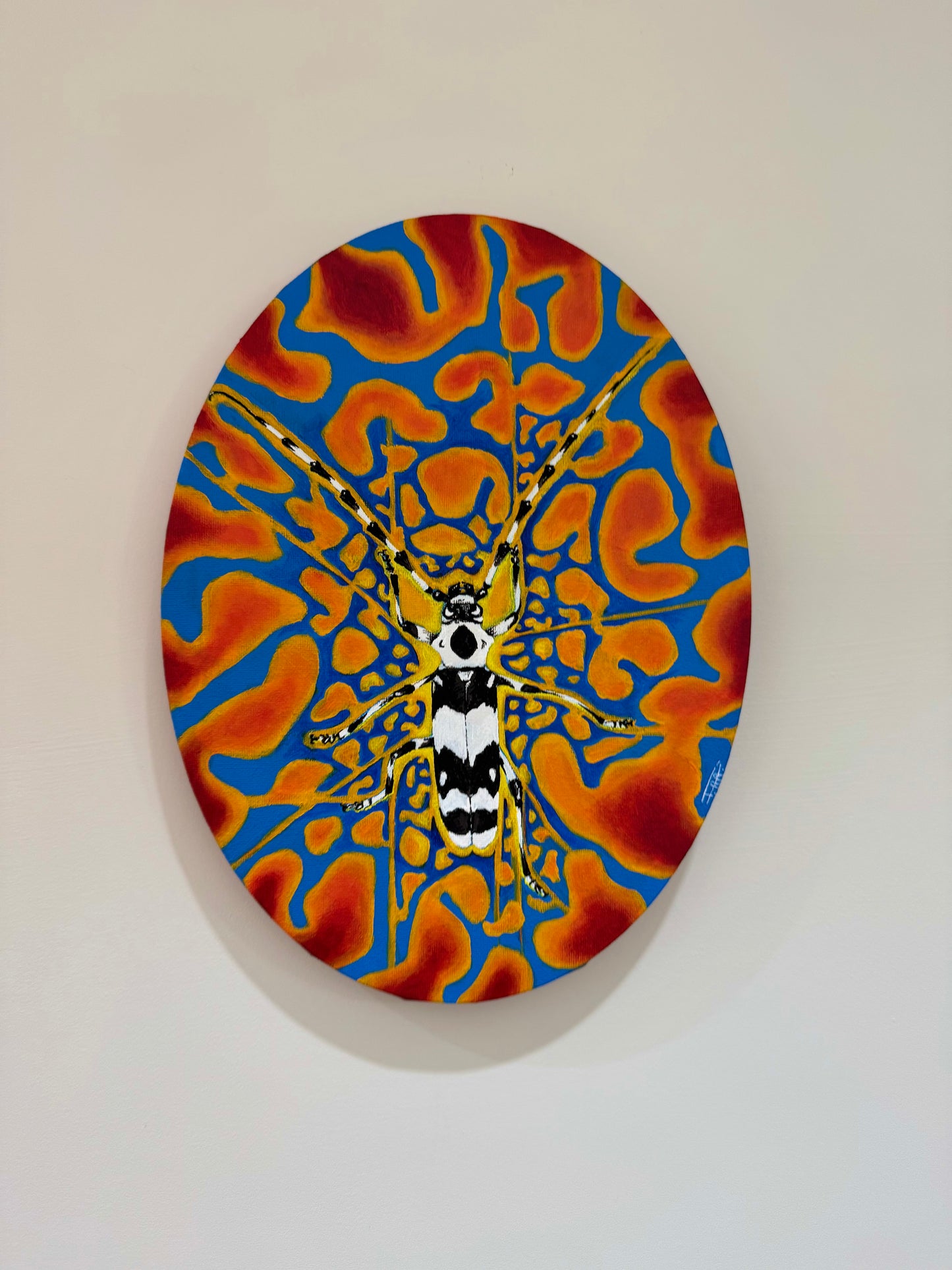 Kyle In The Lava Lamp